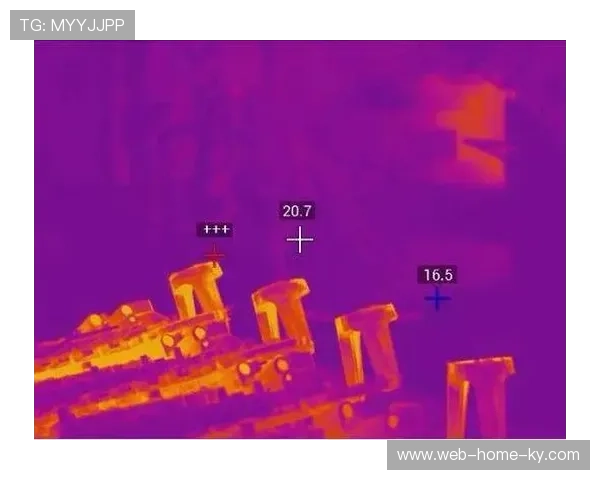 红外热成像技术在入场执行中广泛覆盖 强化了公共卫生安全的监控力度 红外热成像技术在入场执行中广泛覆盖 强化了公共卫生安全的监控力度